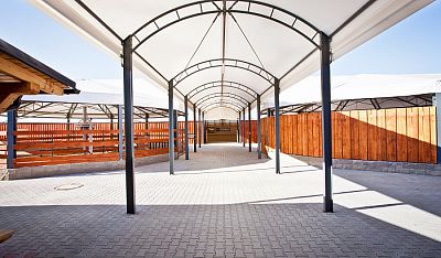 Roofed structures and roofing