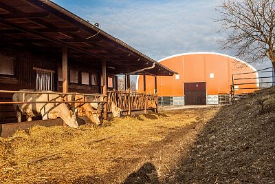 Stallung ZD Skály, Skály u Rýmařova